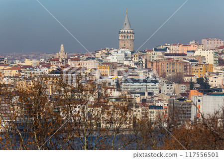 Cityscape of Beyoglu district with Galata Tower across Golden Horn, Istanbul 117556501
