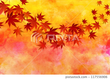  Autumn leaves maple autumn background 117556906