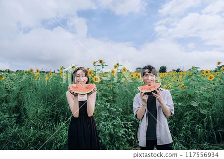 Couple taking pre-wedding photos in a sunflower field holding a watermelon 117556934