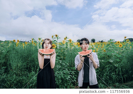 Couple taking pre-wedding photos in a sunflower field holding a watermelon Couple taking pre-wedding photos in a sunflower field holding a watermelon 117556936