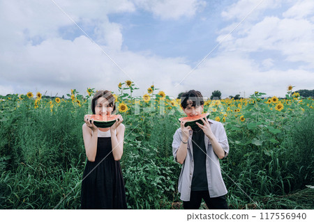 Couple taking pre-wedding photos in a sunflower field holding a watermelon 117556940