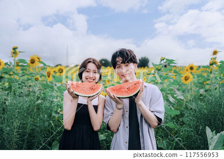 Couple taking pre-wedding photos in a sunflower field holding a watermelon 117556953