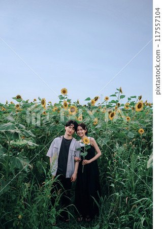wedding, marriage, bridal 117557104