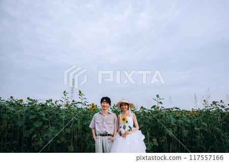 Pre-wedding photo shoot in a sunflower field 117557166