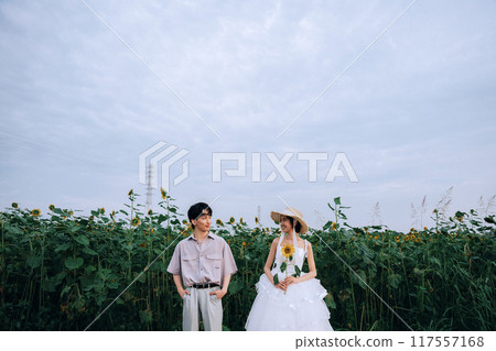 Pre-wedding photo shoot in a sunflower field 117557168