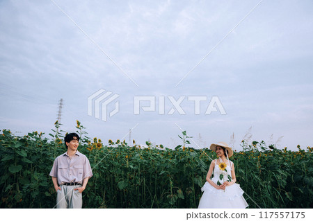Pre-wedding photo shoot in a sunflower field Pre-wedding photo shoot in a sunflower field 117557175