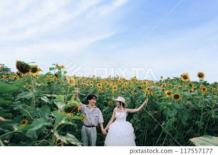 在向日葵田裡進行預拍攝 117557177