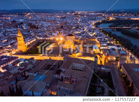Mosque-cathedral of Cordoba 117557227