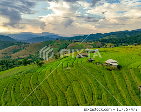 Landscape of green rice terraces and traditional huts in a village near Chiangmai, Thailand. Travel destinations. Beauty of terraced rice fields. Rural life and traditional farming practices in Asia. 117557472