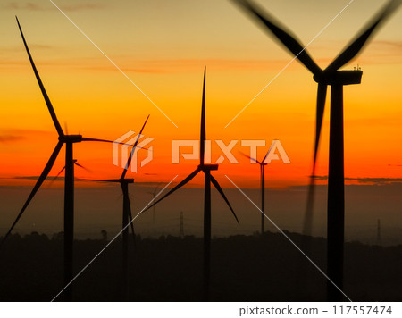 Wind farm field and sunset sky. Wind power. Sustainable, renewable energy. Wind turbines generate electricity. Sustainable development. Green technology for energy sustainability. Eco-friendly energy. Wind farm field and sunset sky. Wind power. Sustainable, renewable energy. Wind turbines generate electricity. Sustainable development. Green technology for energy sustainability. Eco-friendly energy. 117557474