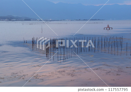 Stakes for the traditional fishing method of Eri fishing on Lake Biwa Stakes for the traditional fishing method of Eri fishing on Lake Biwa 117557795