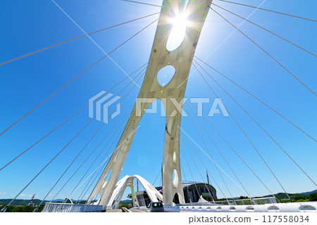 The innovative design of Toyota Ohashi Bridge The innovative design of Toyota Ohashi Bridge 117558034
