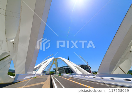 The innovative design of Toyota Ohashi Bridge The innovative design of Toyota Ohashi Bridge 117558039