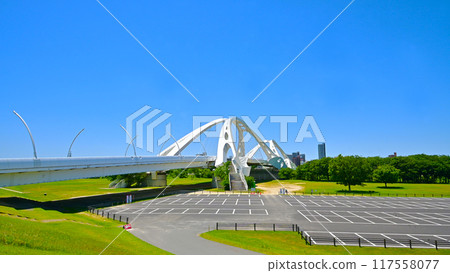 Toyota Ohashi Bridge: Beautiful white color and shape Toyota Ohashi Bridge: Beautiful white color and shape 117558077