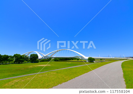 Toyota Ohashi Bridge: Beautiful white color and shape Toyota Ohashi Bridge: Beautiful white color and shape 117558104
