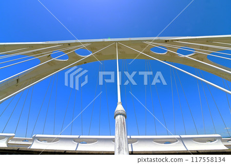 Impressive and beautiful Toyota Ohashi Bridge Impressive and beautiful Toyota Ohashi Bridge 117558134