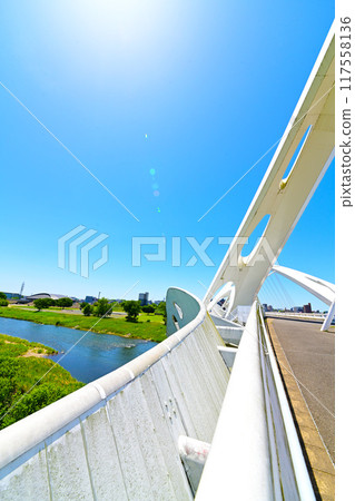 豐田大橋和矢萩川 117558136