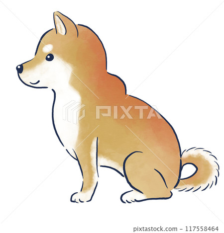 Hand-drawn watercolor illustration of a sitting Shiba Inu 117558464