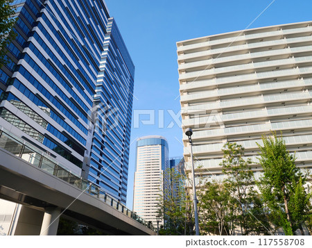 Scenery of the business district | Toyosu 117558708