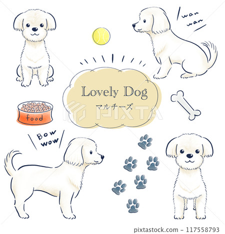 Maltese colored pencil hand-drawn illustration set Maltese colored pencil hand-drawn illustration set 117558793