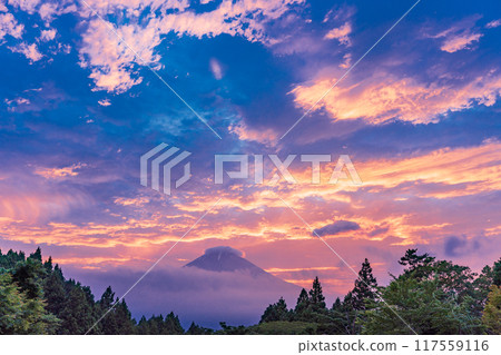 [Shizuoka Prefecture] A view of the blazing Fuji at dusk from Otome Forest Park 117559116