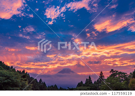 [靜岡縣]從乙女森林公園欣賞富士山的夕陽 117559119