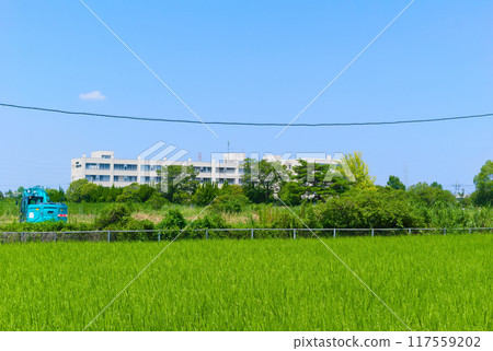Around Yashio City Hachijo Kita Elementary School, Yashio City, Saitama Prefecture August 2024 117559202