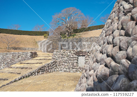 Yokosuka Castle 117559227