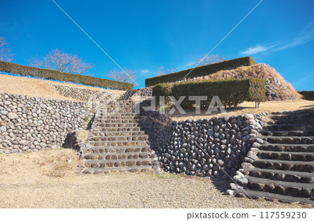Yokosuka Castle Yokosuka Castle 117559230