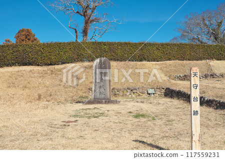橫須賀城堡 橫須賀城堡 117559231