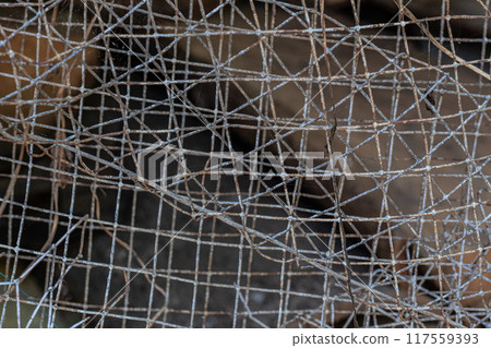 Rusty and worn Steel Grid fence background texture Rusty and worn Steel Grid fence background texture 117559393