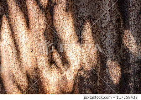 The texture of a rusty zinc wall weathered by the weather The texture of a rusty zinc wall weathered by the weather 117559432