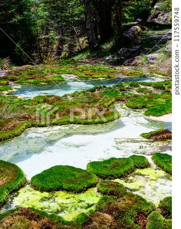 唐澤礦泉源 唐澤礦泉源 117559748