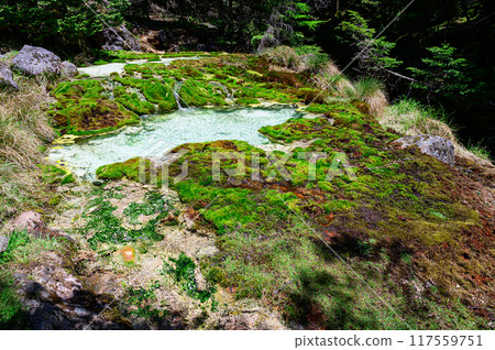 唐澤礦泉源 117559751