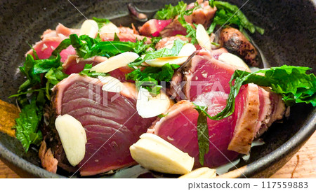 Skipjack tuna 117559883