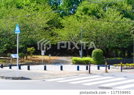 千葉縣柏市第二清掃廠週邊 2024 年 8 月 千葉縣柏市第二清掃廠週邊 2024 年 8 月 117559991