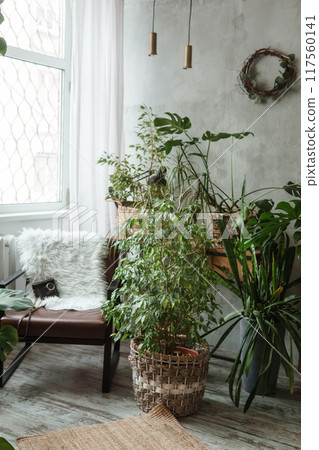 A fragment of the interior with a variety of indoor plants and plaster sculptures. Urban jungle concept. Biophilia design. A fragment of the interior with a variety of indoor plants and plaster sculptures. Urban jungle concept. Biophilia design. 117560141