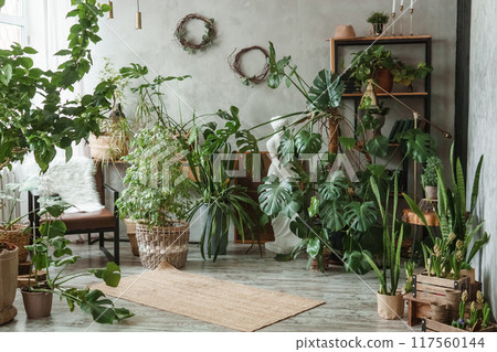 A fragment of the interior with a variety of indoor plants and plaster sculptures. Urban jungle concept. Biophilia design. A fragment of the interior with a variety of indoor plants and plaster sculptures. Urban jungle concept. Biophilia design. 117560144