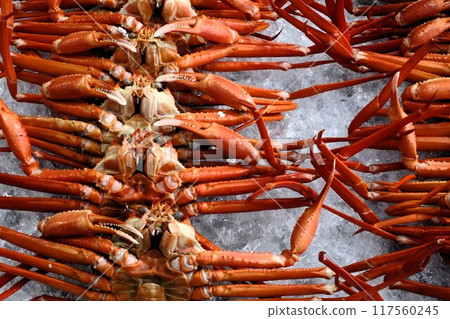 魚市排隊的紅雪蟹 117560245