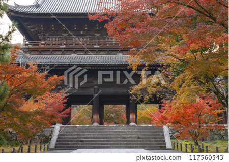 秋天的京都,南禪寺,秋葉覆蓋的三門 秋天的京都,南禪寺,秋葉覆蓋的三門 117560543