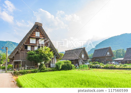 世界遺產「白川鄉‧五箝山合掌造村落」白川村荻町(厚重的傳統建築) 世界遺產「白川鄉‧五箝山合掌造村落」白川村荻町(厚重的傳統建築) 117560599