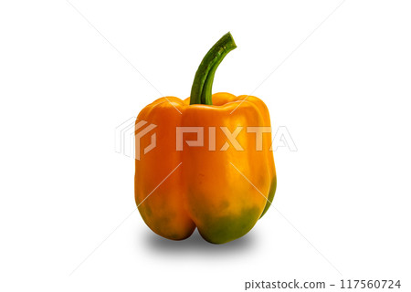 Closeup of single fresh yellow bell pepper, paprika. Closeup of single fresh yellow bell pepper, paprika. 117560724
