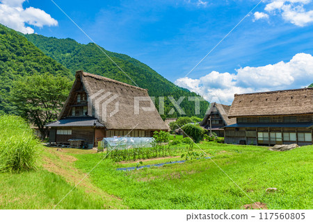 世界遺產「白川鄉、五簇山合掌造村落」 南礪市菅沼（大型建築） 越中五簇山菅沼村（史蹟） 117560805