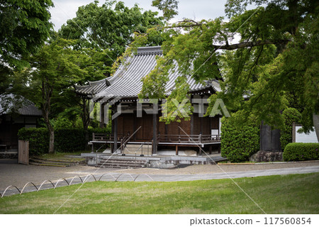 Spring garden with beautiful fresh greenery 117560854