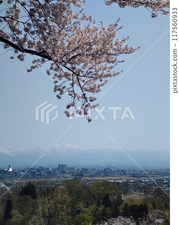 View of Toyama city and the Northern Alps of Yakushidake in spring from the cherry blossom-filled Kurehayama Observatory View of Toyama city and the Northern Alps of Yakushidake in spring from the cherry blossom-filled Kurehayama Observatory 117560933