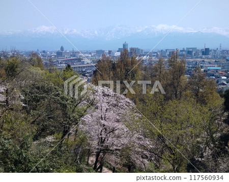 從櫻花盛開的吳羽山展望台眺望住之野富山市區和立山連峰北阿爾卑斯的春天景色 從櫻花盛開的吳羽山展望台眺望住之野富山市區和立山連峰北阿爾卑斯的春天景色 117560934