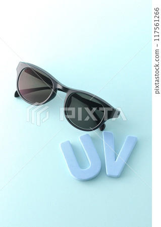 Sunglasses 117561266
