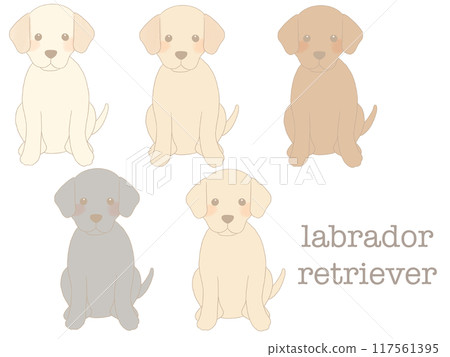 拉布拉多獵犬坐 拉布拉多獵犬坐 117561395