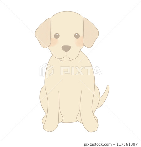 拉布拉多獵犬坐 拉布拉多獵犬坐 117561397