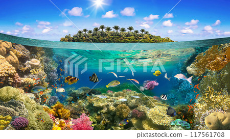 Beautiful sunny tropical beach on the island paradise and underwater world with coral fishes. 117561708